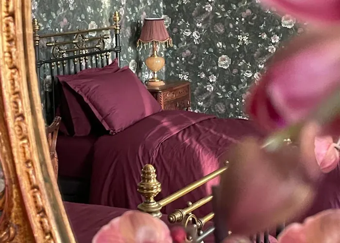 Bed and breakfast House Of Mailly 3*